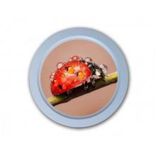 Ультратонкая светящаяся светодиодная картина D94*25mm 4W 220V (CW)
